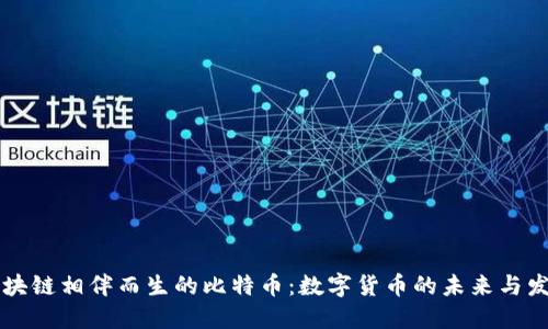 区块链相伴而生的比特币：数字货币的未来与发展