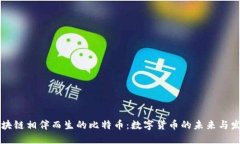 区块链相伴而生的比特币