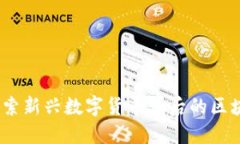 派币：探索新兴数字货币