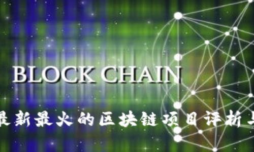  2023年最新最火的区块链项目评析与趋势分析