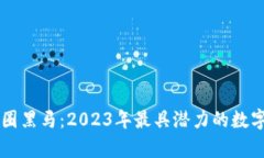 区块链币圈黑马：2023年最