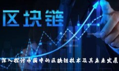 深入探讨币圈中的区块链