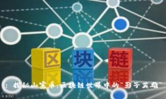 : 探秘山寨币：区块链世界