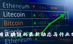 冒牌区块链的最新动态与