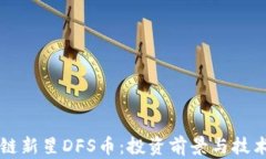 区块链新星DFS币：投资前