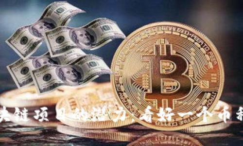 如何判断区块链项目的潜力：看好一个币种的全面指南