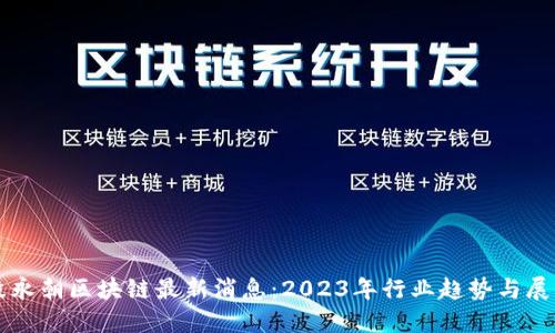 段永朝区块链最新消息：2023年行业趋势与展望