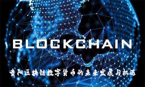 贵阳区块链数字货币的未来发展与机遇