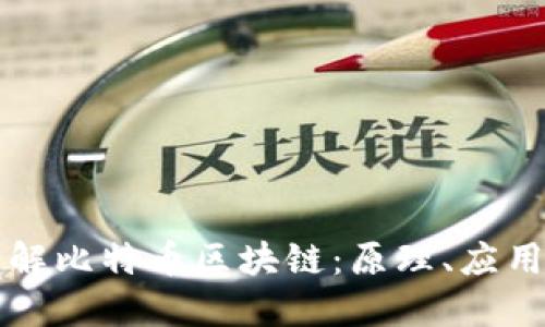 深入了解比特币区块链：原理、应用与挑战