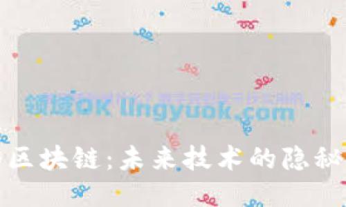 隐形区块链：未来技术的隐秘之路