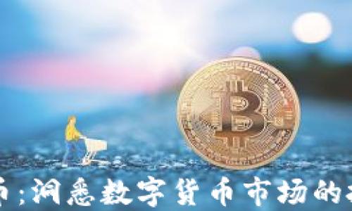 
区块链币：洞悉数字货币市场的投资指南