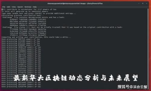 最新华大区块链动态分析与未来展望