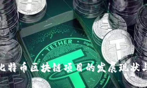 探索中国比特币区块链项目的发展现状与未来趋势