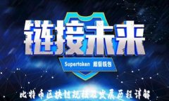 比特币区块链规模及发展
