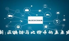 深入剖析：区块链与比特