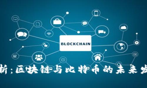 深入剖析：区块链与比特币的未来发展趋势