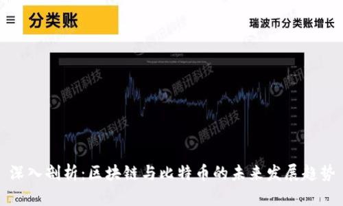 深入剖析：区块链与比特币的未来发展趋势