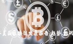 2023年美国区块链发展报告