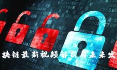 魏凯区块链最新视频解析