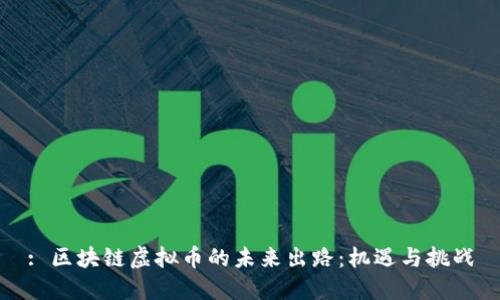 : 区块链虚拟币的未来出路：机遇与挑战