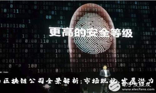 上海比特币区块链公司全景解析：市场现状、发展潜力与未来趋势