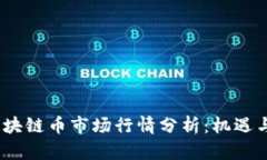 2023年区块链币市场行情分析：机遇与挑战并存