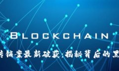  区块链传销案最新破获：揭秘背后的黑幕与趋势