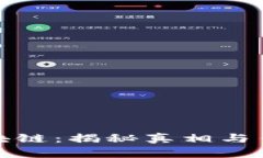 骆驼币区块链：揭秘真相与传销的界限