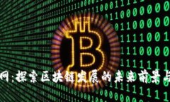 满币网：探索区块链发展的未来前景与机遇