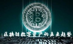 探秘币码翁：区块链数字资产的未来趋势与投资