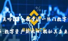 区块链派币是啥？深入探索这一热门数字资产的