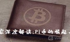 区块链专家深度解读：Pi币的崛起与未来展望