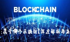 青蛙币：属于哪个区块链？深度解析与未来趋势