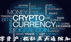 未来数字资产：揭秘五大