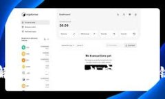 全面解析：当今热门数字币区块链一览