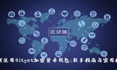 如何使用Bitget加密货币钱