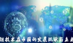区块链技术在币圈的发展现状与未来探讨
