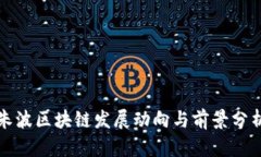 朱波区块链发展动向与前景分析