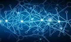 biao ti如何参与区块链币众筹：全方位指南/biao