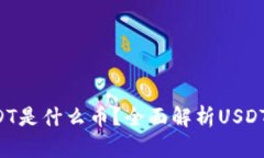 VIN区块链USDT是什么币？全面解析USDT的应用与价值