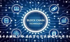 上海币区块链公司：在数