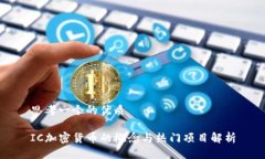 思考一个的优质IC加密货币的概念与热门项目解析