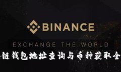 区块链钱包地址查询与币种获取全攻略