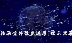 闵行区块链诈骗案件最新进展：揭示黑幕与未来